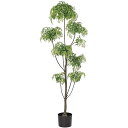 アラレアツリー (高さ155cm) アラリア グリーン 観葉植物 造花 リアル タヒチ 南国 夏 観葉植物 大型 インテリア 人工 フェイク 模様替え おしゃれ...