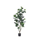 インディアンアーモンド (高さ180cm) グリーン 観葉植物 造花 リアル 高品質 タヒチ 南国 夏 観葉植物 大型 インテリア 人工 フェイク 模様替え お...