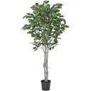 ジャイアントツリー (高さ200cm) 観葉植物 造花 リアル タヒチ 南国 夏 観葉植物 大型 インテリア 人工 フェイク 模様替え おしゃれ モダン シンプ...