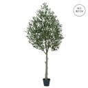 【超大型】オリーブツリー (高さ300cm) 大型 グリーン 観葉植物 リアル 造花 タヒチ 南国 夏 観葉植物 大型 インテリア 人工 フェイク 模様替え お...