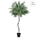 【再入荷しました】スマイラックスツリー(高さ170cm) グリーン 観葉植物 造花 リアル 玄関 エントランス 一 ホテル エレガント モデルルーム