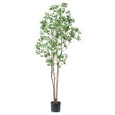 ■アセビ (高さ210cm) グリーン 観葉植物 造花 リアル タヒチ 南国 夏 観葉植物 大型 インテリア 人工 フェイク 模様替え おしゃれ モダン シンプ...