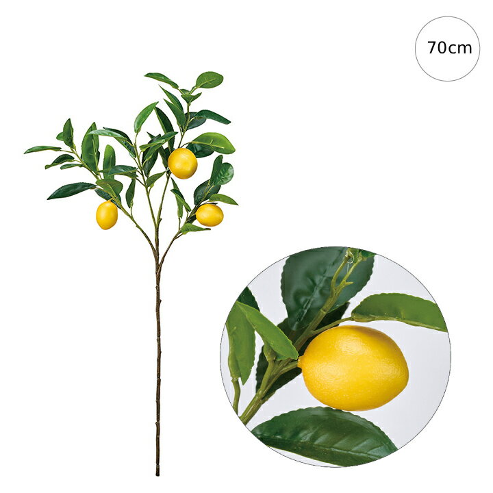 【2本セット】レモンブランチ (79cm) インテリア 枝 観葉植物 造花 南国 砂漠 オブジェ 夏 観葉植物 大型 インテリア 人工 模様替 大型 おしゃれ 造花 人工 モダン シンプル 店舗ディスプレイ カフェ インダストリアル 倉庫 レンガ