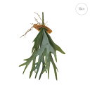 コウモリラン (50cm) 造花 多肉植物 ビカクシダ 店舗装飾 インテリアディスプレイ 季節 飾り イベント 装飾 造花 観葉植物 アートグリーン )