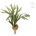 スタッグホーン (4本入り) (60cm) 造花 多肉植物 ビカクシダ 店舗装飾 インテリアディスプレイ 季節 飾り イベント 装飾 造花 観葉植物 アートグリ...