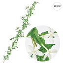 ジャスミンガーランド(180cm) 観葉植物 フェイク ガーランド グリーン 店舗 インテリア 目隠し 壁面アクセント シンプル クール スタイリッシュ