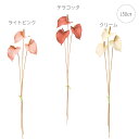 【各色5本セット】【造花 アンスリウム】サティナアンスリウムバンドル (50cm) 高品質 可愛い フェイクフラワー インテリアディスプレイ 季節 演出 飾り...