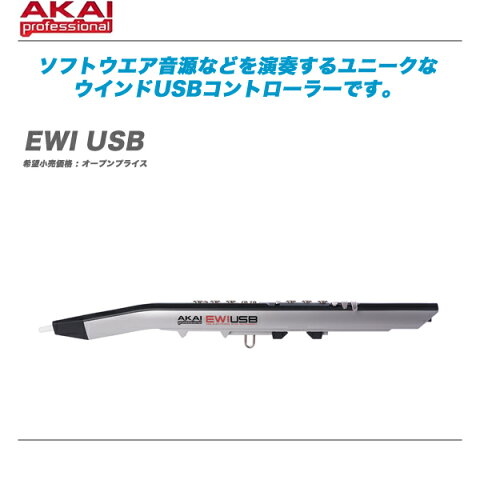 AKAI（アカイ）USBコントローラー『EWI USB』【全国配送料無料・代引き手数料】