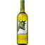 [2021] ȥ ӥ750ml Toscana Bianco ڥ Ρ  ɸ ꥢ ȥ ե £ʪ ˤ 