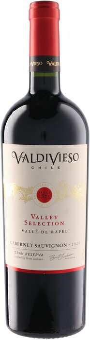 【6本~送料無料】[2020] ヴァレー セレクション カベルネ ソーヴィニヨン 750ml 【ビーニャ バルディビエソ】 赤ワイン チリ セントラル ヴァレー ギフト 贈り物 お祝い お礼(4)
