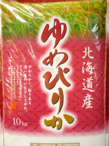 送料無料！大人気商品！令和3年産 北海道産米 新米 ゆめぴりか10kg