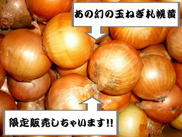 送料無料　北海道産　幻の北海道玉ねぎ　札幌黄M〜Lサイズ　10kg