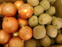 送料無料 使い切り抜群! 北海道産新秋野菜 あま〜いじゃがいもとうまうま玉ねぎ3kgづつ計6kgのお買得セット!