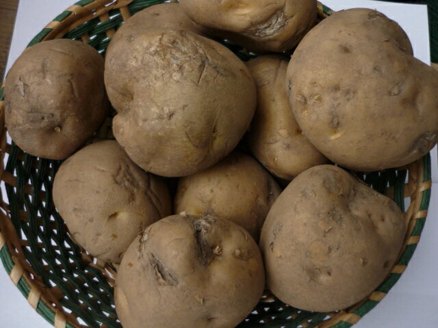 楽天市場】じゃがいも 送料無料 10kg(品種(ジャガイモ)男爵芋 楽天市場】じゃがいも 送料無料 10kg(品種(ジャガイモ)男爵芋