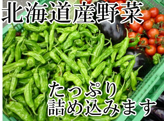 送料無料！冷蔵便込！北海道産四季のとれたて野菜詰め合わせセッ