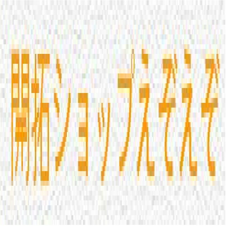 Shop icon