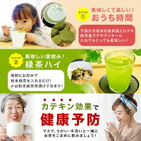 緑茶カテキン3倍粉末茶100g詰×1粉末緑茶粉末茶粉砕茶送料無料