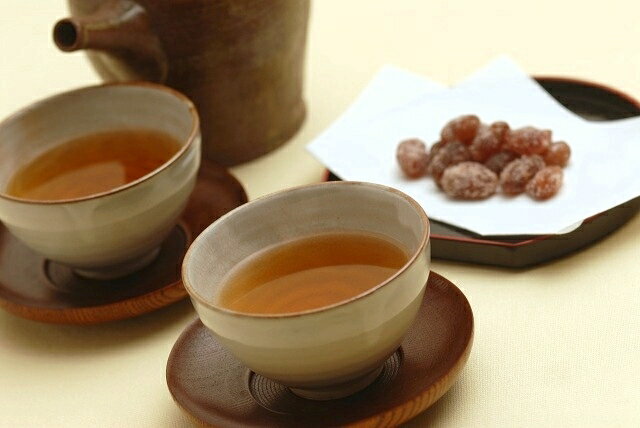 無料 1杯用のインスタントスティック煎茶60Pとほうじ茶60Pのセット インスタント煎茶 ほうじ茶 MIX スティック茶 0.6g×120P 緑茶 メール便送料無料 粉末緑茶 粉茶 粉末茶 業務用 パウダー茶 無料 1杯用のインスタントスティック煎茶60Pとほうじ茶60Pのセット インスタント煎茶 ほうじ茶 MIX スティック茶 0.6g×120P 緑茶 メール便送料無料 粉末緑茶 粉茶 粉末茶 業務用 パウダー茶