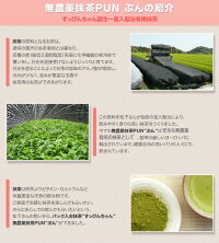 掛川茶粉末茶粉末緑茶無農薬抹茶グリーンティー抹茶ラテ