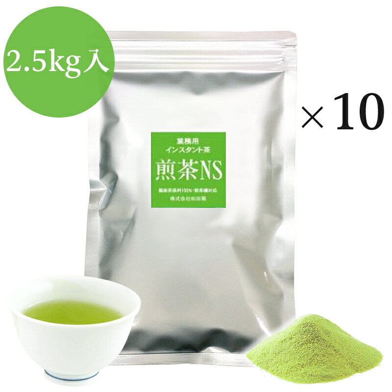 業務用インスタント茶　煎茶NS　250g×10　粉末茶・パウダー茶 粉茶 粉末緑茶 送料無料