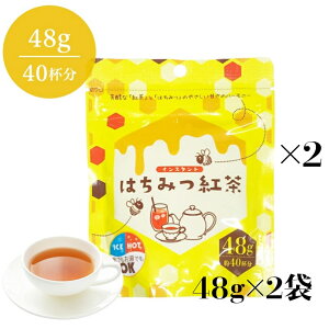 インスタント　はちみつ紅茶　48g詰×2袋セット　粉末　インスタントティー　蜂蜜紅茶　ハチミツパウダー