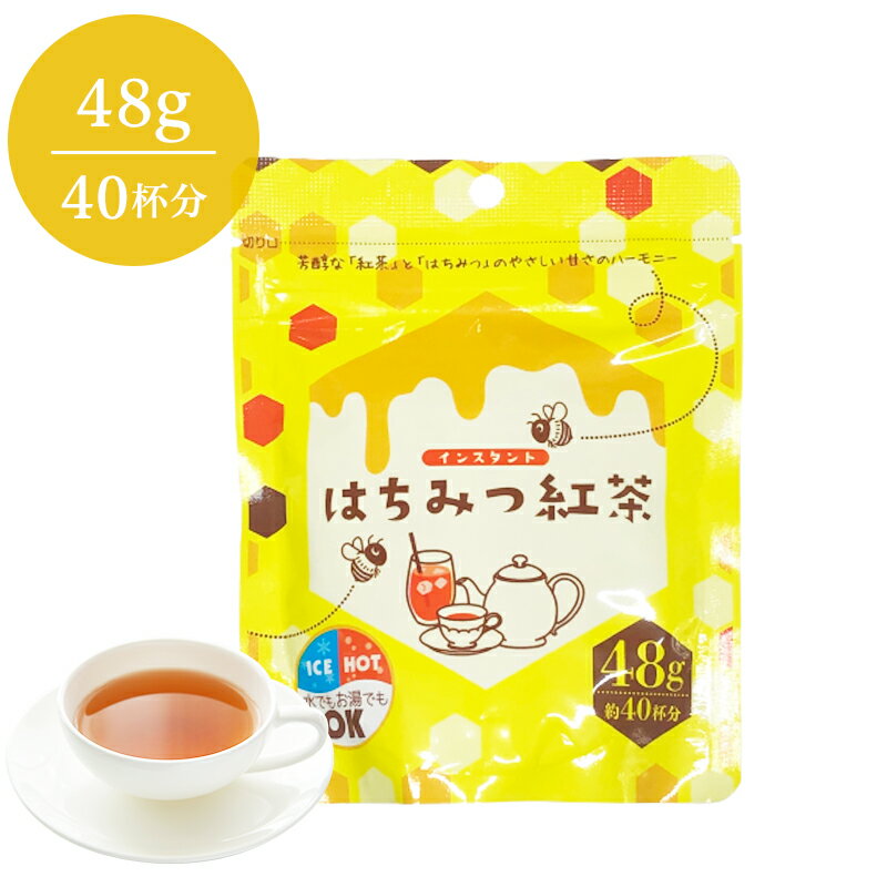 インスタント　はちみつ紅茶　48g詰×1　粉末　インスタントティー　蜂蜜紅茶　ハチミツパウダー