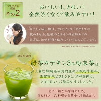 緑茶カテキン3倍粉末茶100g詰×1粉末緑茶粉末茶粉砕茶送料無料