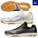 バレーボールシューズ ミズノフライ MIZUNO FLY メンズ レディース ユニセックス ローカット 最軽量モデルが新登場！ 瞬発力を高めるソール設計と、ミズノエナジー搭載でクッション性を追求。 カラー 01：ブラック×シルバー×レッド 09：ホワイト×シルバー×ゴールド 甲材／合成繊維×人工皮革 底材／合成底 ミズノエナジーインソール 取り外し可 ウィズ　2E相当 質量　約250g(27.0cm片方) ・軽量と通気性を追求したモノフィラメントメッシュ ・ミズノエナジー搭載でより高いジャンプをサポート ・一瞬の反応をサポートするねじれソール V1GA233001 V1GA233009 白 黒 23.0cm 23.5cm 24.0cm 24.5cm 25.0cm 25.5cm 26.0cm 26.5cm 27.0cm 27.5cm 28.0cm 28.5cm 29.0cm 29.5cm 30.0cm