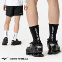 【メール便可】ミズノ ソックス メンズ サッカー プロフェッショナル オフザピッチ P2MXB065 スポーツ