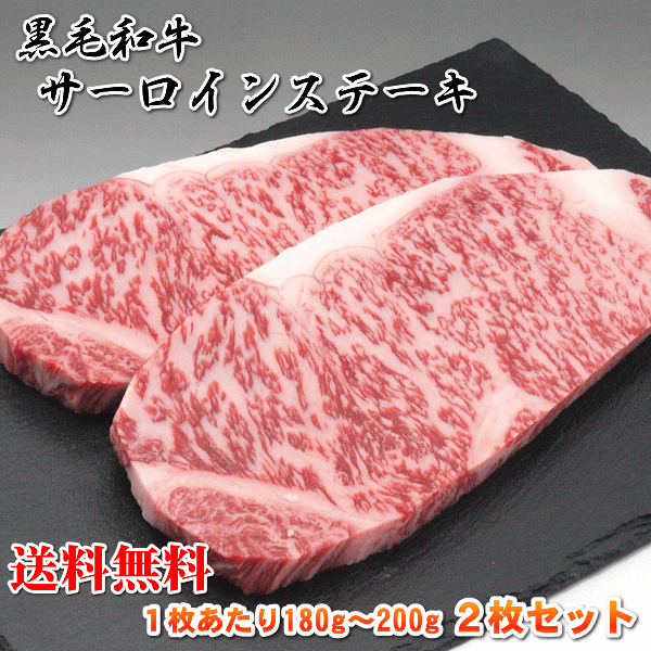 送料無料 国産 牛 牛肉