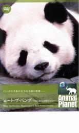 アニマル・プラネット ミート・ザ・パンダ はじめての里がえり【趣味・実用 動物・ペット DVD 中古】レンタル落ち