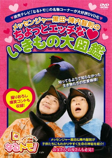 &nbsp;出　演&nbsp;陣内智則／黒田有&nbsp;制作年、時間&nbsp;2007年&nbsp;97分&nbsp;製作国&nbsp;日本&nbsp;メーカー等&nbsp;よしもとアール・アンド・シー&nbsp;ジャンル&nbsp;お笑い／コント／漫才&nbsp;&nbsp;【コメディ 爆笑 笑える 楽しい】&nbsp;カテゴリー&nbsp;DVD&nbsp;入荷日&nbsp;【2025-07-16】※ジャケット(紙)には、バーコード・管理用シール等が貼ってある場合があります。※DVDケース無しです。予めご了承ください。レンタル落ちの中古品ですディスクはクリーニングを行い出荷します