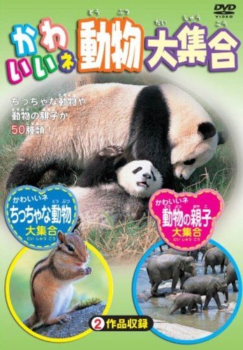 かわいいネ 動物大集合【趣味・実用 動物・ペット DVD 中古】ケース無し
