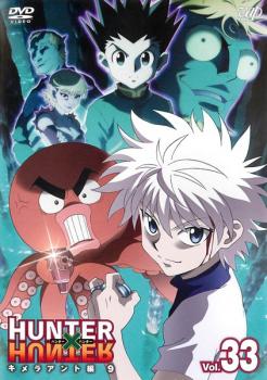 楽天市場】hunter×hunter dvd 13（アニメ｜DVD）：CD・DVDの通販