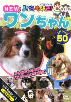 &nbsp;出　演&nbsp;高田べん(ナレーター)／中西裕美子(ナレーター)&nbsp;制作年、時間&nbsp;2013年&nbsp;35分&nbsp;製作国&nbsp;日本&nbsp;メーカー等&nbsp;ピーエスジー&nbsp;ジャンル&nbsp;趣味、実用／動物&nbsp;カテゴリー&nbsp;DVD&nbsp;入荷日&nbsp;【2026-04-27】【あらすじ】子供たちに大人気の動物を満載した「動物大好き！」シリーズの‘NEWワンちゃんスペシャル50’編。小さくて可愛いワンちゃんから大きくて迫力満点のワンちゃんまで、世界中から選りすぐった50種類のワンちゃんの特徴や歴史を分かりやすく紹介。※ジャケット(紙)には、バーコード・管理用シール等が貼ってある場合があります。※DVDケース無しです。予めご了承ください。レンタル落ちの中古品ですディスクはクリーニングを行い出荷します