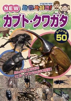 &nbsp;制作年、時間&nbsp;2013年&nbsp;35分&nbsp;製作国&nbsp;日本&nbsp;メーカー等&nbsp;ピーエスジー&nbsp;ジャンル&nbsp;趣味、実用／動物&nbsp;カテゴリー&nbsp;DVD&nbsp;入荷日&nbsp;【2026-07-02】【あらすじ】昆虫界の2大スター、カブトムシとクワガタをなんと50種類紹介！ヘラクレスオオカブトやインドギラファノコギリクワガタをはじめ、世界中のカブトムシ・クワガタが大集合！※ジャケット(紙)には、バーコード・管理用シール等が貼ってある場合があります。※DVDケース無しです。予めご了承ください。ディスクはクリーニングを行い出荷します