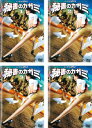 送料無料 秘書のカガミ(4枚セット)第1話〜最終話【全巻セット 邦画 中古 DVD】レンタル落ち