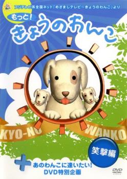 楽天市場】きょうのわんこ dvdの通販