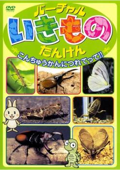 &nbsp;制作年、時間&nbsp;2004年&nbsp;27分&nbsp;製作国&nbsp;日本&nbsp;メーカー等&nbsp;キングレコード&nbsp;ジャンル&nbsp;趣味、実用／子供向け、教育／動物&nbsp;カテゴリー&nbsp;DVD&nbsp;入荷日&nbsp;【2026-05-14】【あらすじ】未就学児童以上を対象に、お家にいながら動物がいる施設に行ってる気分にさせるビデオシリーズ第5弾！架空の昆虫館にいる様々な昆虫達を、虫キャラクターが紹介！※ジャケット(紙)には、バーコード・管理用シール等が貼ってある場合があります。※DVDケース無しです。予めご了承ください。レンタル落ちの中古品ですディスクはクリーニングを行い出荷します