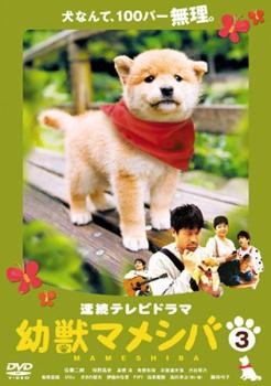 連続テレビドラマ版 幼獣マメシバ 3(第9話〜第11話 最終)【邦画ドラマ DVD 中古】ケース無し レンタル落ち