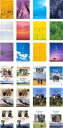 送料無料 北の国から(24枚セット)TV版 全12巻 + SP版 全12巻【全巻セット 邦画 中古 DVD】レンタル落ち
