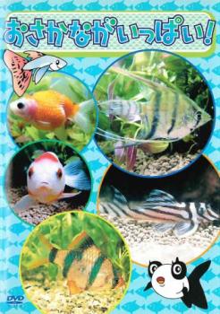 おさかながいっぱい!【キッズ 動物 DVD 中古】ケース無 レンタル落ち