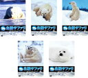 北極サファリ with ナイジェル・マーヴェン(5枚セット)1、2、3、4、5【全巻セット その他、ドキュメンタリー 中古 DVD】 送料無料