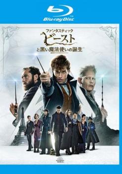 &nbsp;出　演&nbsp;エディ・レッドメイン(ニュート・スキャマンダー)／キャサリン・ウォーターストン(ティナ・ゴールドスタイン)／ダン・フォグラー(ジェイコブ・コワルスキー)／アリソン・スドル(クイニー・ゴールドスタイン)／エズラ・ミラー(クリーデンス・ベアボーン)／ゾーイ・クラヴィッツ(リタ)／カラム・ターナー／クローディア・キム／ウィリアム・ナディラム&nbsp;原　作&nbsp;J・K・ローリング&nbsp;監　督&nbsp;デヴィッド・ハイマン55才頃デヴィッド・イェーツ53才頃キャサリン・ウォーターストン36才頃J・K・&nbsp;制作年、時間&nbsp;2018年&nbsp;134分&nbsp;製作国&nbsp;アメリカ&nbsp;メーカー等&nbsp;ワーナー・ホーム・ビデオ&nbsp;ジャンル&nbsp;洋画／ドラマ／アドベンチャー／ファンタジー&nbsp;カテゴリー&nbsp;ブルーレイ&nbsp;入荷日&nbsp;【2026-10-09】【あらすじ】シャイでおっちょこちょいな魔法動物学者・ニュートが、魔法界と人間界の支配を企む黒い魔法使い・グリンデルバルドを追ってパリへ向かい、仲間や魔法動物たちと共に戦いを挑む。※こちらはBlu-ray Disc専用ソフトです。対応プレイヤー以外では再生できませんのでご注意ください。※ジャケット(紙)には、バーコード・管理用シール等が貼ってある場合があります。※DVDケース無しです。予めご了承ください。レンタル落ちの中古品ですディスクはクリーニングを行い出荷します