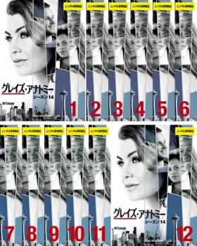 グレイズ・アナトミー シーズン14(12枚セット)第1話〜第24話 最終【全巻セット 洋画 中古 DVD】ケース無:: レンタル落ち 送料無料