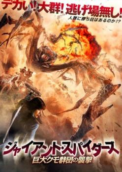ジャイアント・スパイダーズ 巨大クモ群団の襲撃【アジア・韓国 アクション DVD 中古】ケース無 レンタル落ち