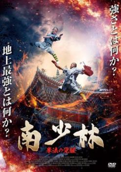 南少林 拳法の覚醒【アジア・韓国 アクション DVD 中古】レンタル落ち