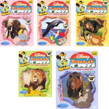 アニマルワールド(5枚セット)ゾウ、イルカ、チンパンジー、ライオン、クマ【全巻 趣味、実用 中古 DVD】レンタル落ち 送料無料