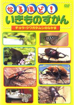 なるほど!いきものずかん チョウ・クワガタムシのなかま【その他、ドキュメンタリー 中古 DVD】メール便可 ケース無:: レンタル落ち