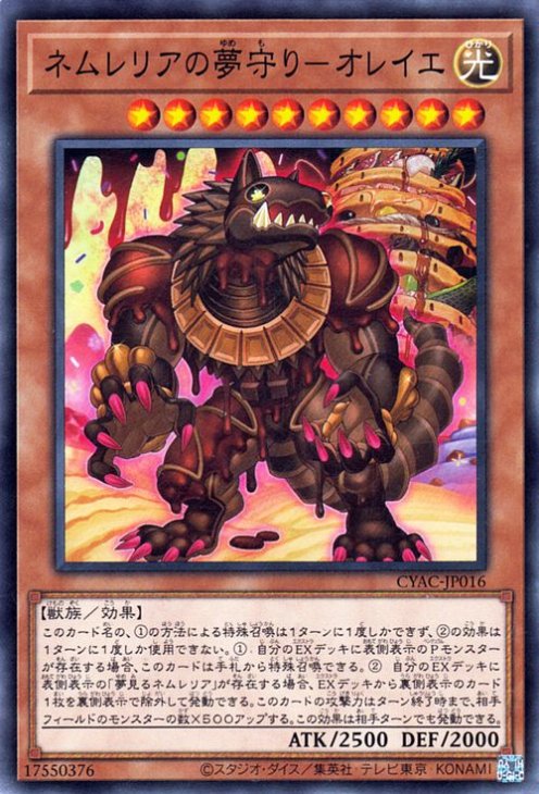 ͷOCG ǥ奨󥹥 ͥꥢ̴-쥤 CYAC CYAC-JP016 š